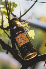 MADNESS ONION – ЦИБУЛЕВИЙ МАРИНАД ДО МʼЯСА - Зображення 3