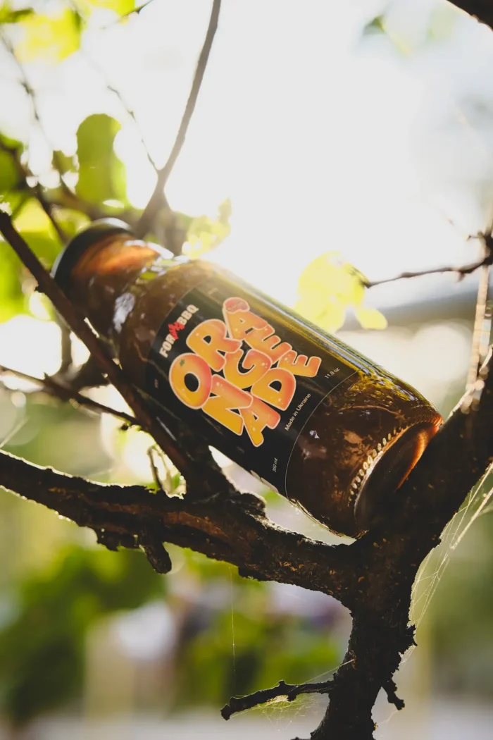 ORANGEADE – АПЕЛЬСИНОВИЙ МАРИНАД ДО МʼЯСА - Зображення 4
