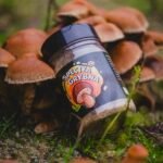 SPECIYA GRYBNA - СПЕЦІЯ З БІЛИМИ ГРИБАМИ