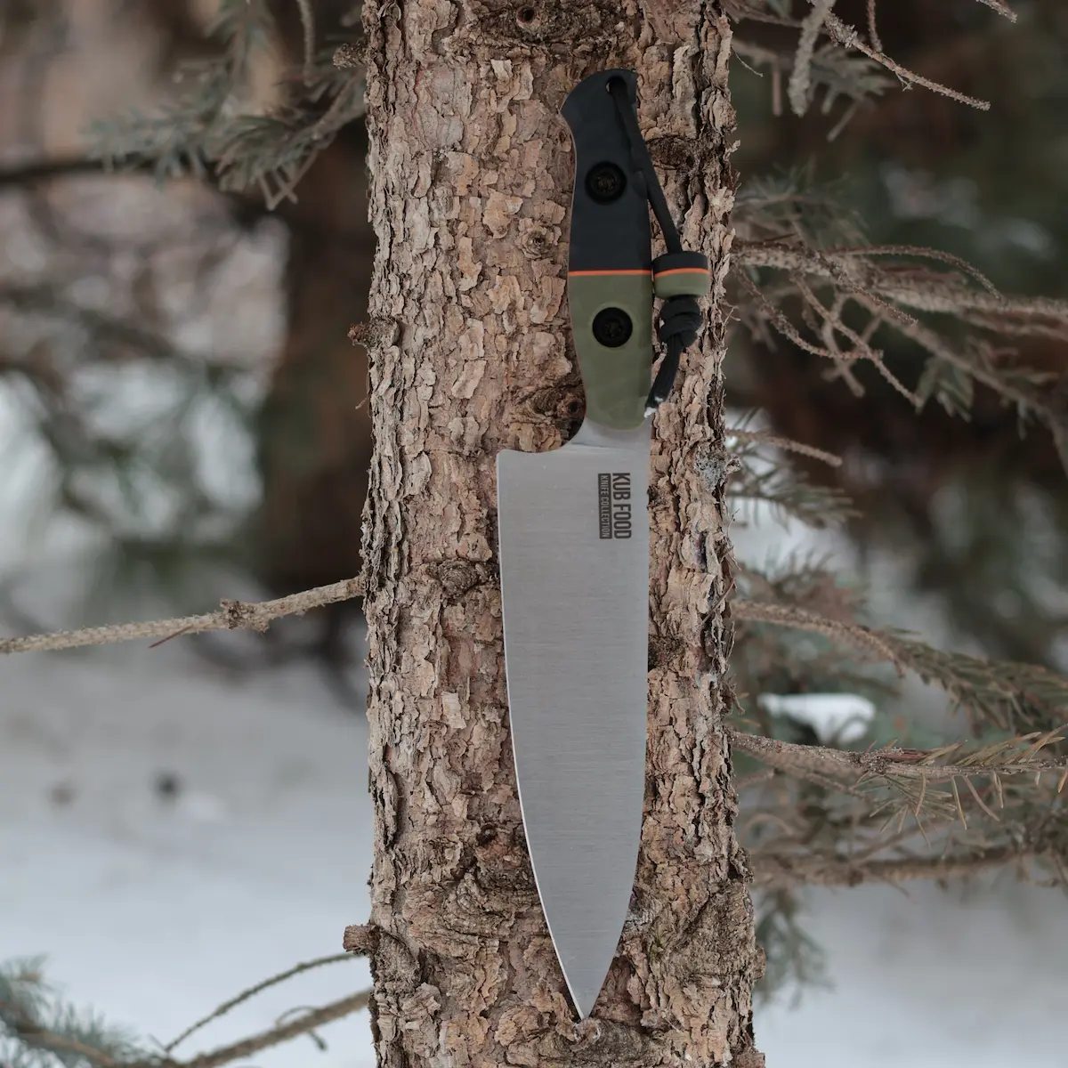 IMG_1422 EMBERWOOD FLAME - Зображення 1